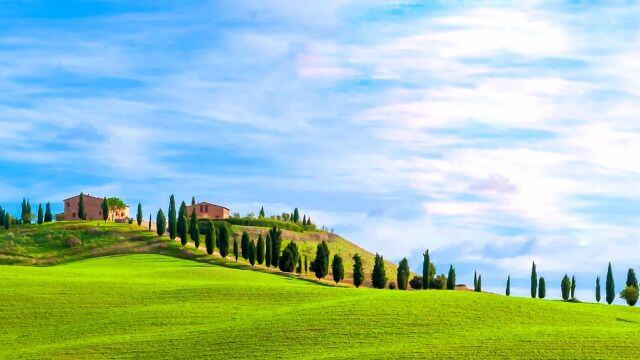 tuscany_treeline.jpg
